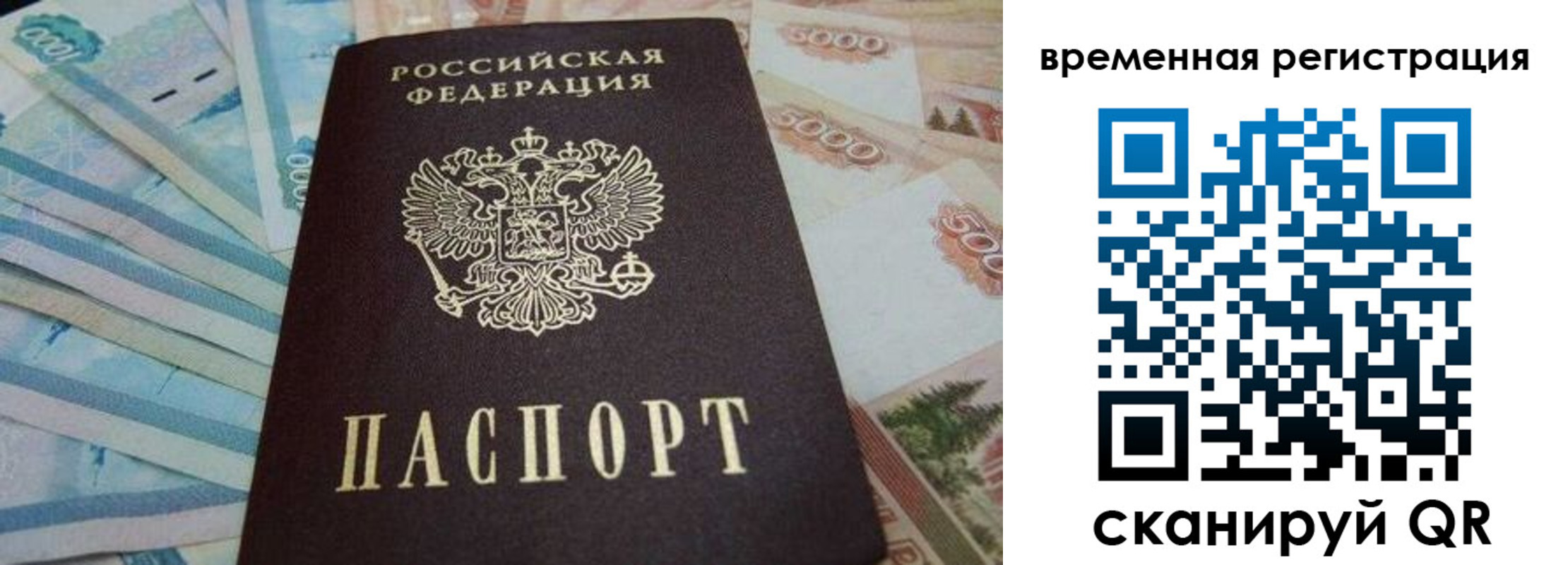 временная регистрация гарантия в Оленегорске