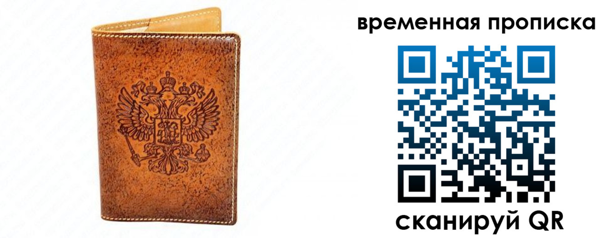 прописка ребенка в Оленегорске